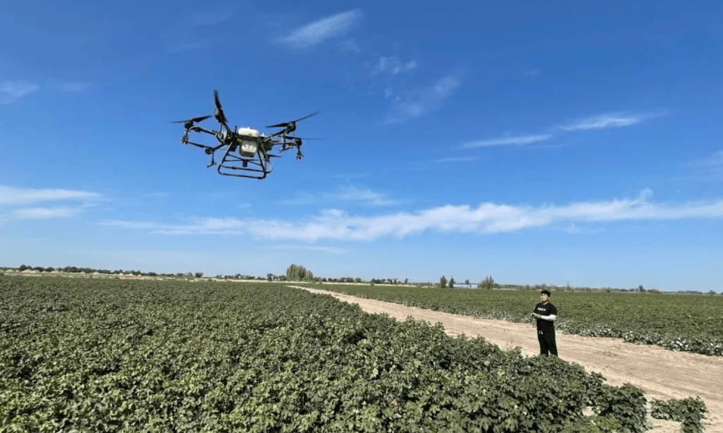 Introducing Drone Technology for Precise Agricultural Cotton Production